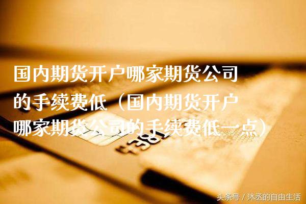 国内期货开户哪家期货公司的手续费低（国内期货开户哪家期货公司的手续费低一点）_https://www.boyangwujin.com_道指期货_第1张