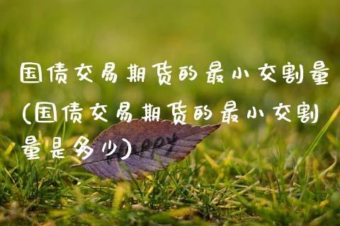 国债交易期货的最小交割量(国债交易期货的最小交割量是多少)_https://www.boyangwujin.com_期货直播间_第1张