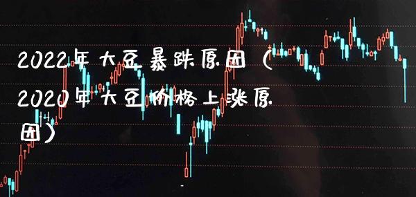 2022年大豆暴跌原因（2020年大豆价格上涨原因）_https://www.boyangwujin.com_期货直播间_第1张