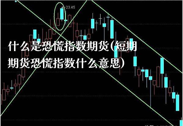 什么是恐慌指数期货(短期期货恐慌指数什么意思)_https://www.boyangwujin.com_期货直播间_第1张