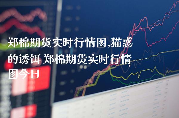 郑棉期货实时行情图,猫惑的诱饵 郑棉期货实时行情图今日