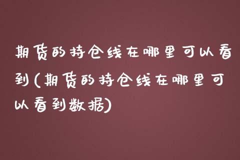 期货的持仓线在哪里可以看到(期货的持仓线在哪里可以看到数据)_https://www.boyangwujin.com_期货直播间_第1张