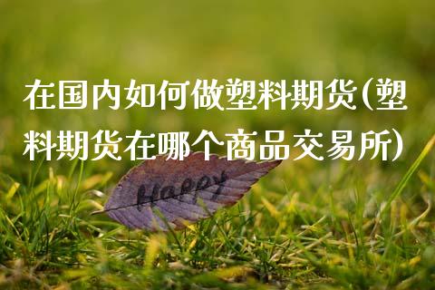 在国内如何做塑料期货(塑料期货在哪个商品交易所)_https://www.boyangwujin.com_期货直播间_第1张
