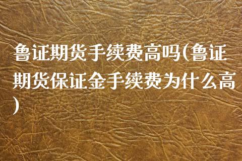 鲁证期货手续费高吗(鲁证期货保证金手续费为什么高)_https://www.boyangwujin.com_期货直播间_第1张