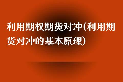 利用期权期货对冲(利用期货对冲的基本原理)_https://www.boyangwujin.com_恒生指数_第1张