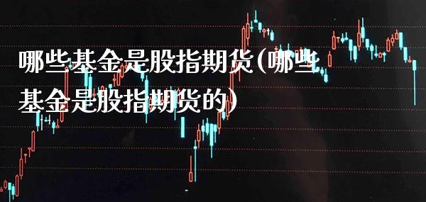 哪些基金是股指期货(哪些基金是股指期货的)_https://www.boyangwujin.com_道指期货_第1张