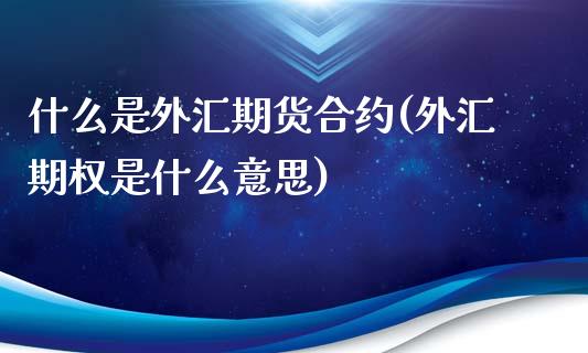 什么是外汇期货合约(外汇期权是什么意思)_https://www.boyangwujin.com_期货直播间_第1张