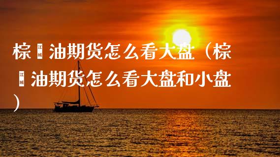 棕榈油期货怎么看大盘（棕榈油期货怎么看大盘和小盘）_https://www.boyangwujin.com_黄金期货_第1张