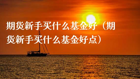 期货新手买什么基金好（期货新手买什么基金好点）