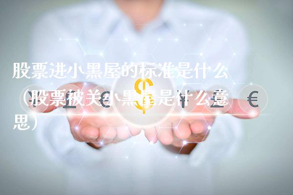 股票进小黑屋的标准是什么（股票被关小黑屋是什么意思）