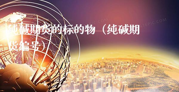 纯碱期货的标的物（纯碱期货编号）_https://www.boyangwujin.com_恒生指数_第1张