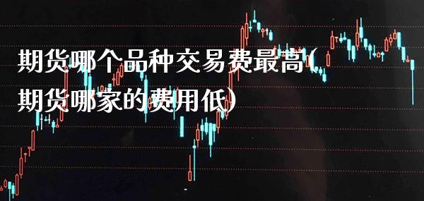 期货哪个品种交易费最高(期货哪家的费用低)_https://www.boyangwujin.com_白银期货_第1张