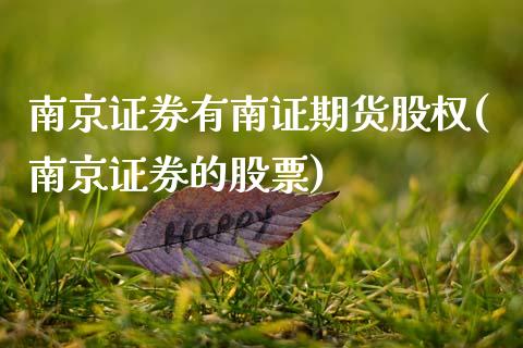 南京证券有南证期货股权(南京证券的股票)
