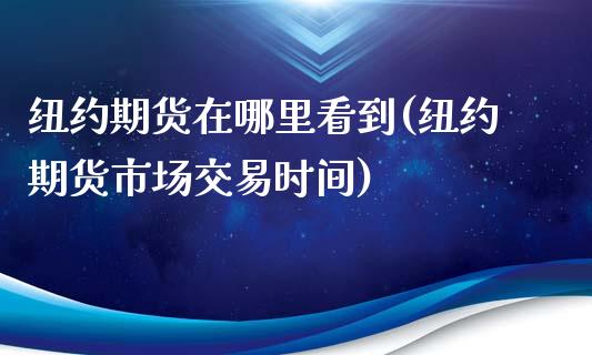 纽约期货在哪里看到(纽约期货市场交易时间)