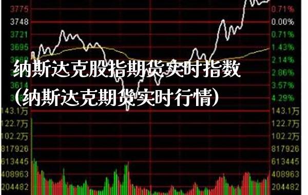 纳斯达克股指期货实时指数(纳斯达克期货实时行情)_https://www.boyangwujin.com_期货直播间_第1张