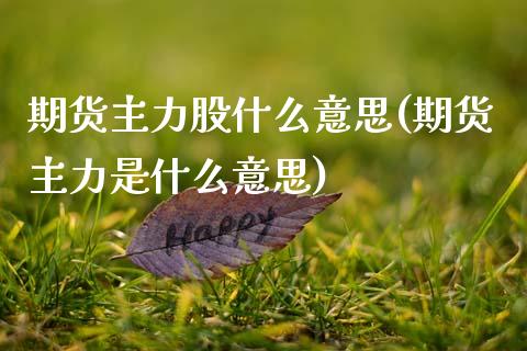期货主力股什么意思(期货主力是什么意思)_https://www.boyangwujin.com_恒生指数_第1张