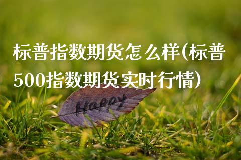 标普指数期货怎么样(标普500指数期货实时行情)_https://www.boyangwujin.com_期货直播间_第1张
