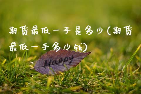 期货最低一手是多少(期货最低一手多少钱)_https://www.boyangwujin.com_道指期货_第1张