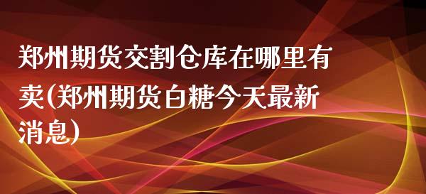 郑州期货交割仓库在哪里有卖(郑州期货白糖今天最新消息)_https://www.boyangwujin.com_期货直播间_第1张
