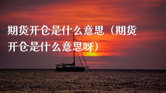 期货开仓是什么意思（期货开仓是什么意思呀）