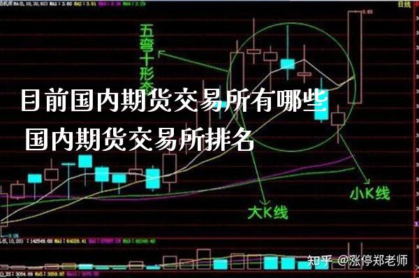 目前国内期货交易所有哪些 国内期货交易所排名_https://www.boyangwujin.com_期货直播间_第1张