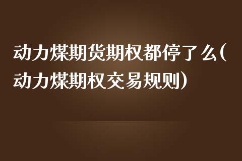动力煤期货期权都停了么(动力煤期权交易规则)