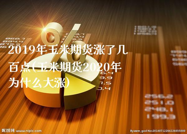 2019年玉米期货涨了几百点(玉米期货2020年为什么大涨)