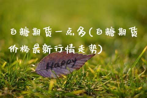 白糖期货一点多(白糖期货价格最新行情走势)_https://www.boyangwujin.com_期货开户_第1张