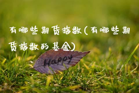 有哪些期货指数(有哪些期货指数的基金)