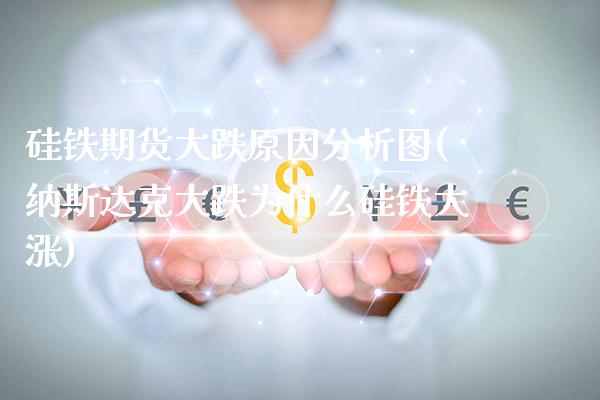 硅铁期货大跌原因分析图(纳斯达克大跌为什么硅铁大涨)_https://www.boyangwujin.com_期货直播间_第1张