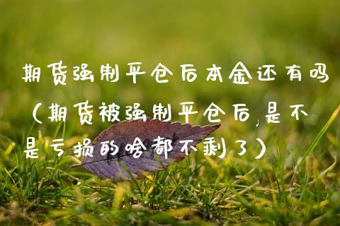 期货强制平仓后本金还有吗（期货被强制平仓后,是不是亏损的啥都不剩了）_https://www.boyangwujin.com_期货直播间_第1张