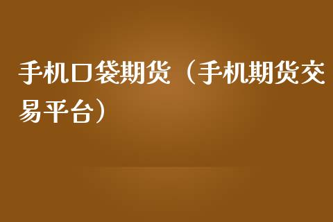 手机口袋期货（手机期货交易平台）_https://www.boyangwujin.com_原油期货_第1张