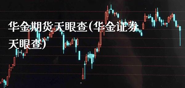 华金期货天眼查(华金证券天眼查)