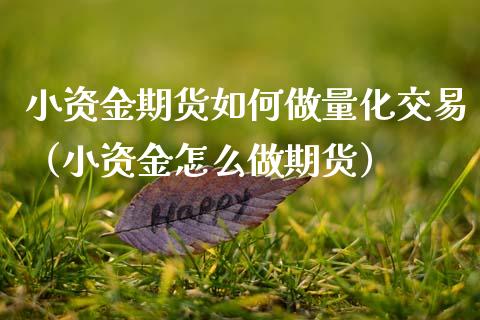 小资金期货如何做量化交易（小资金怎么做期货）_https://www.boyangwujin.com_期货直播间_第1张