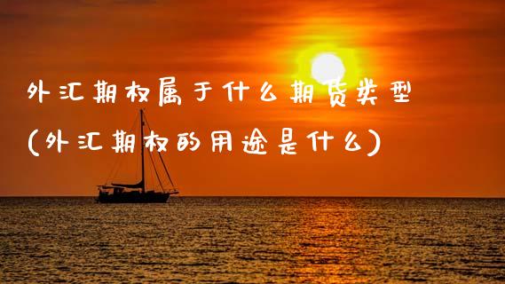 外汇期权属于什么期货类型(外汇期权的用途是什么)_https://www.boyangwujin.com_期货直播间_第1张