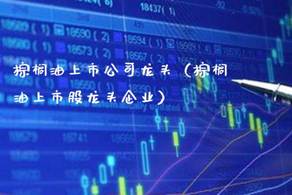 棕榈油上市公司龙头（棕榈油上市股龙头企业）_https://www.boyangwujin.com_期货直播间_第1张