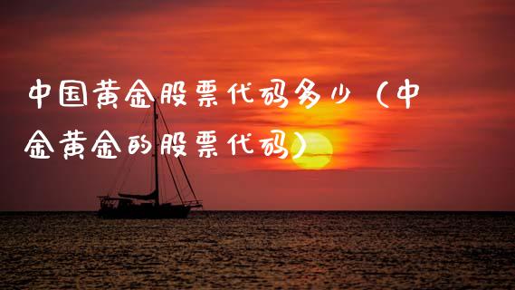 中国黄金股票代码多少（中金黄金的股票代码）_https://www.boyangwujin.com_期货直播间_第1张