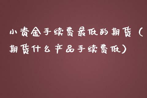 小资金手续费最低的期货（期货什么产品手续费低）