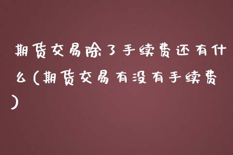 期货交易除了手续费还有什么(期货交易有没有手续费)