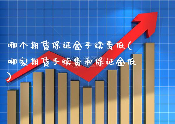哪个期货保证金手续费低(哪家期货手续费和保证金低)_https://www.boyangwujin.com_黄金期货_第1张