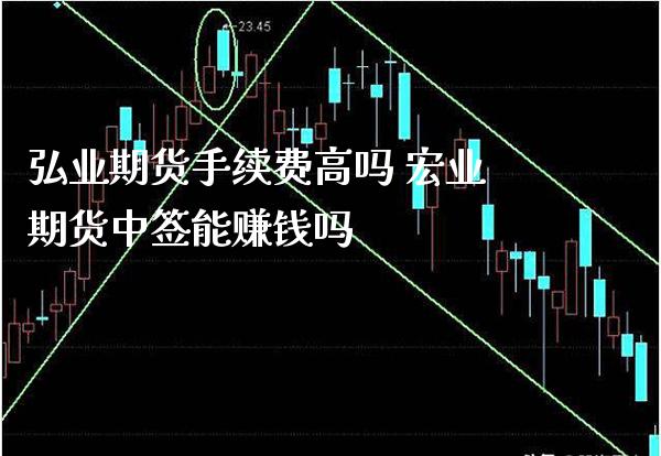 弘业期货手续费高吗 宏业期货中签能赚钱吗_https://www.boyangwujin.com_期货直播间_第1张
