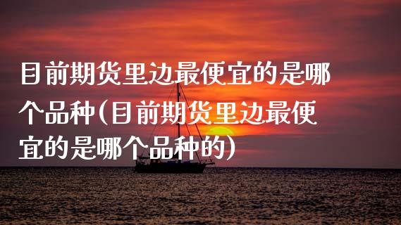 目前期货里边最便宜的是哪个品种(目前期货里边最便宜的是哪个品种的)_https://www.boyangwujin.com_期货直播间_第1张