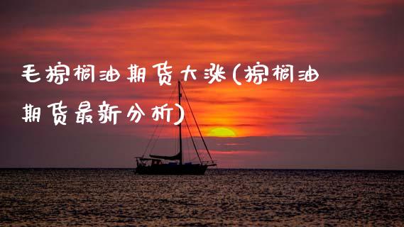 毛棕榈油期货大涨(棕榈油期货最新分析)_https://www.boyangwujin.com_期货直播间_第1张