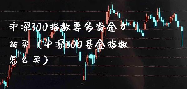 沪深300指数要多资金才能买（沪深300基金指数怎么买）_https://www.boyangwujin.com_期货直播间_第1张
