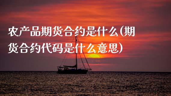 农产品期货合约是什么(期货合约代码是什么意思)