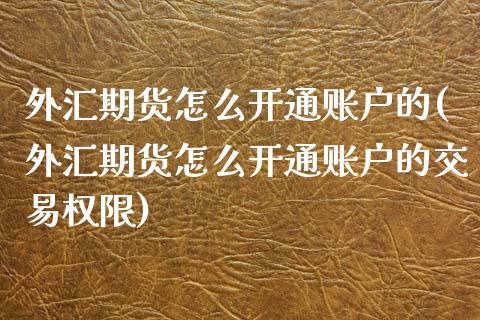 外汇期货怎么开通账户的(外汇期货怎么开通账户的交易权限)_https://www.boyangwujin.com_期货直播间_第1张
