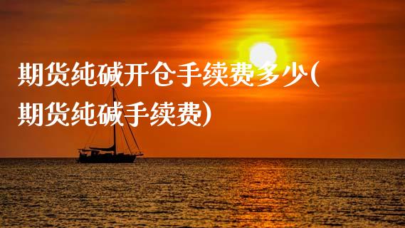 期货纯碱开仓手续费多少(期货纯碱手续费)_https://www.boyangwujin.com_期货直播间_第1张