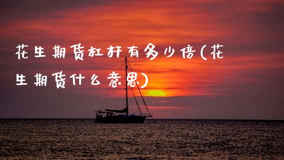 花生期货杠杆有多少倍(花生期货什么意思)