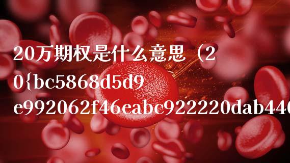 20万期权是什么意思（20%期权是什么意思）_https://www.boyangwujin.com_白银期货_第1张