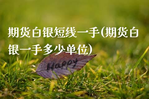 期货白银短线一手(期货白银一手多少单位)_https://www.boyangwujin.com_恒指期货_第1张